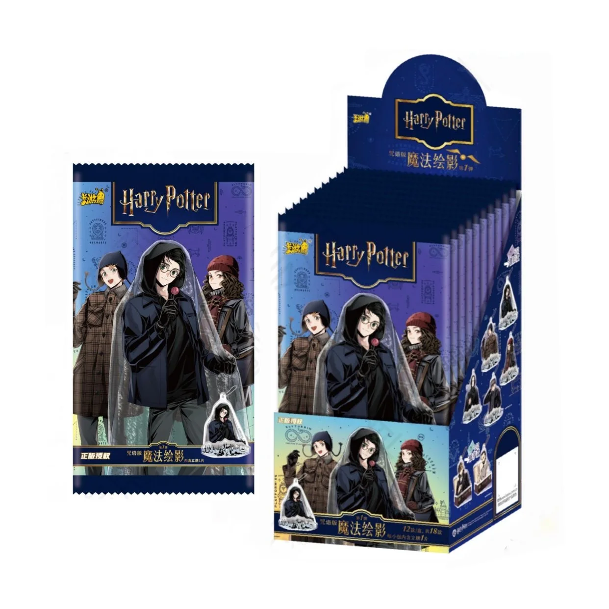 KAYOU Harry Potter Plaque Magic Shadow Spell Edition Genuine Draco Snape Nott Acrylic Desktop Decoration