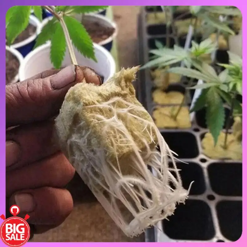 صفقة كبيرة زراعة المائية كتلة متوسطة كتلة النبات مصفوفة بدون تربة البذر الصخور الصوف التوصيل صينية زراعة كتلة الشتلات