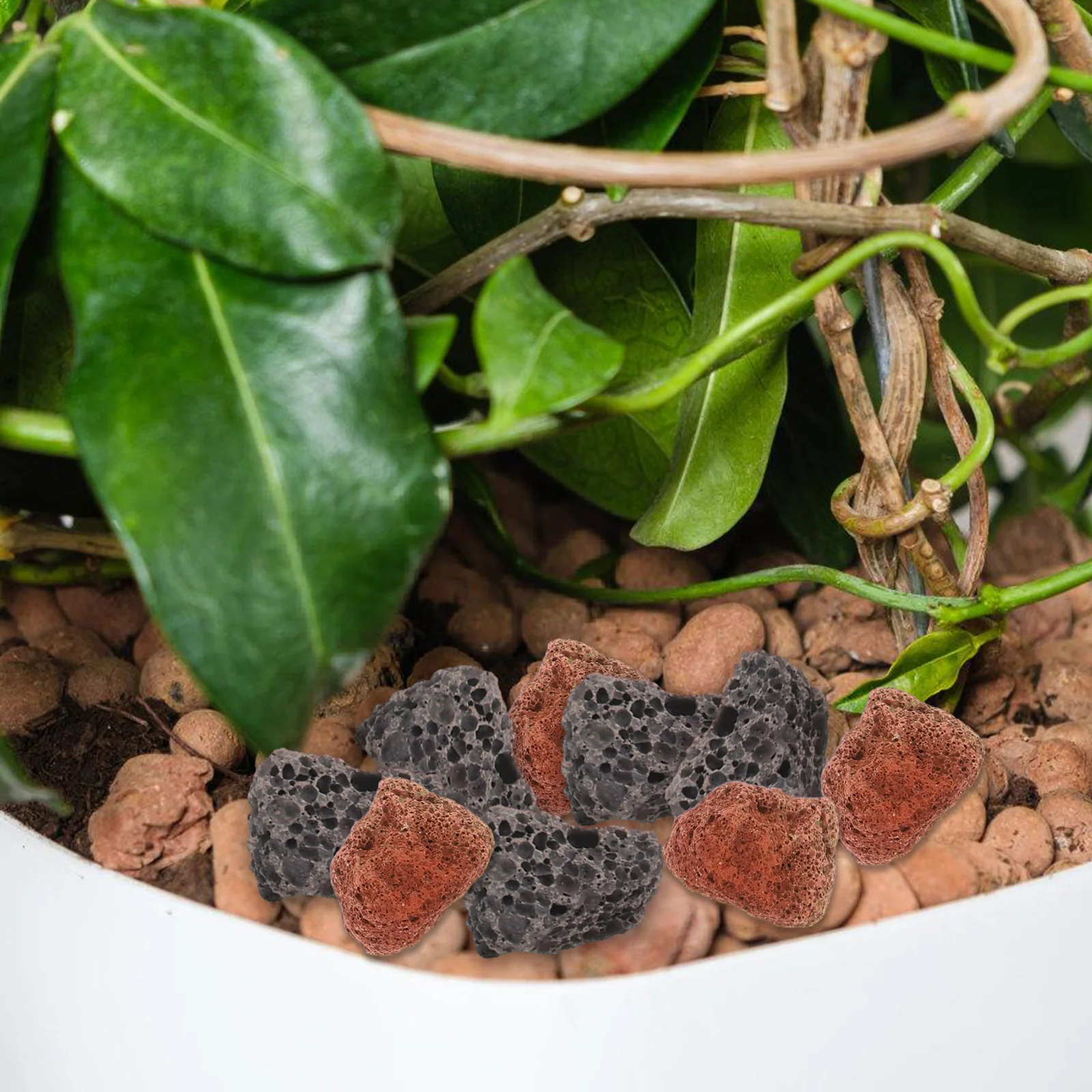 

1 Set Flowerpot Filling Polished Natural Decorative Fish Tank Rocks Aquarium Gravel Garden Decorative Stones Outdoor Rocks Fish