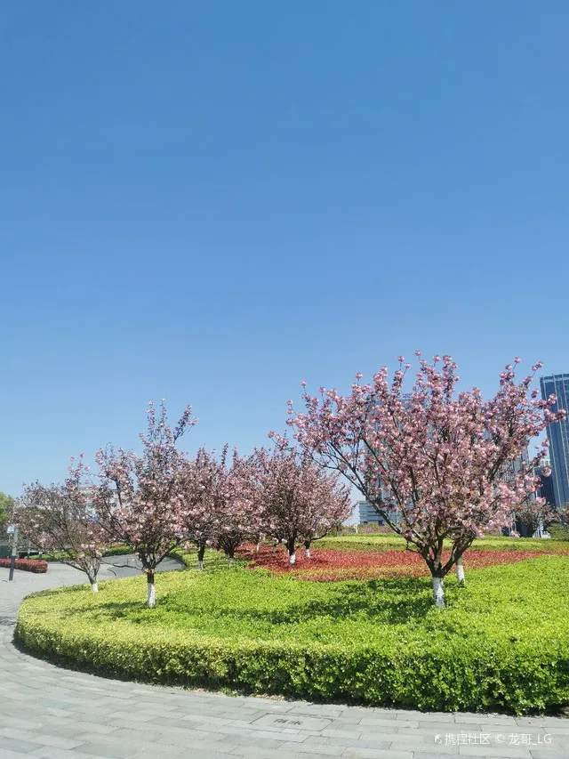 

Радиоуправляемая машинка 1/32 масштаба с сервоприводом, задним приводом, для дрифта, 4WD