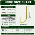 Size 2-0