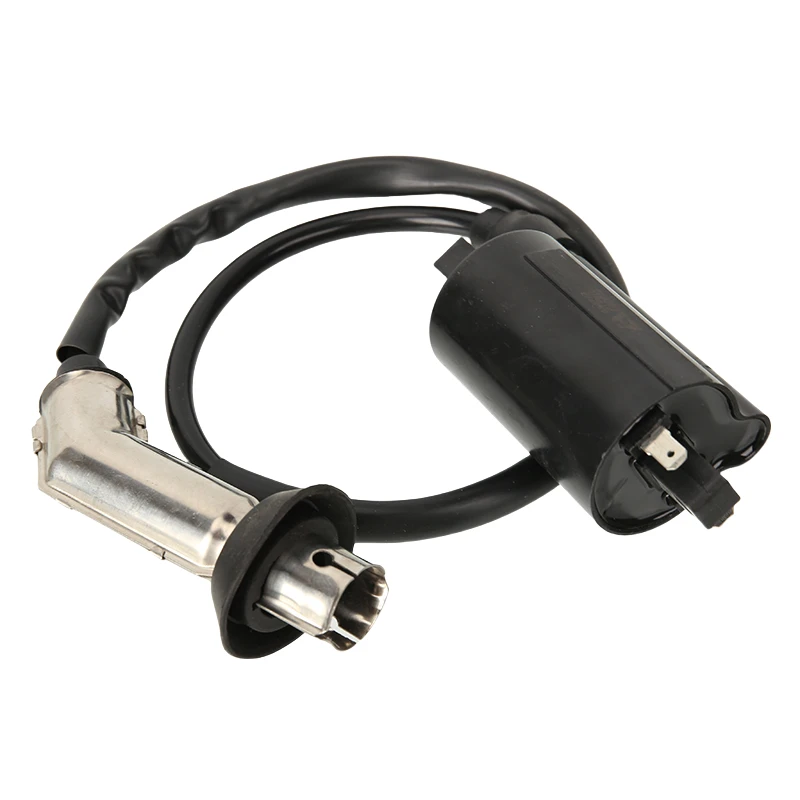 EFI Pedal Ignition Coil Compatible with GY6 Engine 169cc 170cc Models & EFI Jonway GTX 250 EFI 200 Tall Motorcycle MOTO