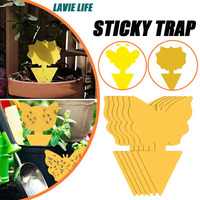 10-40pcs Fly Catcher Sticky Trap Avirulent Insipidity Mosquito Fly Trap Used for Garden Plants Kitchen  Fly Tools LAVIE LIFE