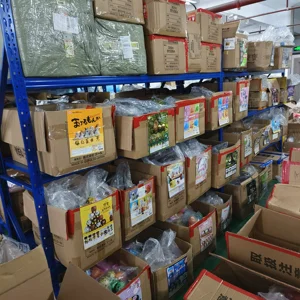 6 mainan kapsul penjualan terbaik jepang - №