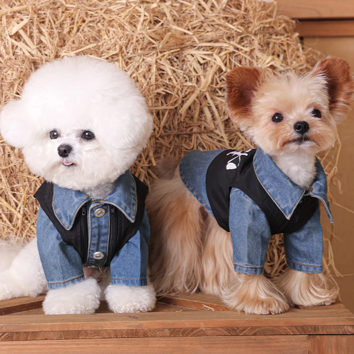 Small Dog Clothes, Maltese, Yorkshire, Teddy, Bichon, Frize Dog, Cat Coat, Autumn Clothes