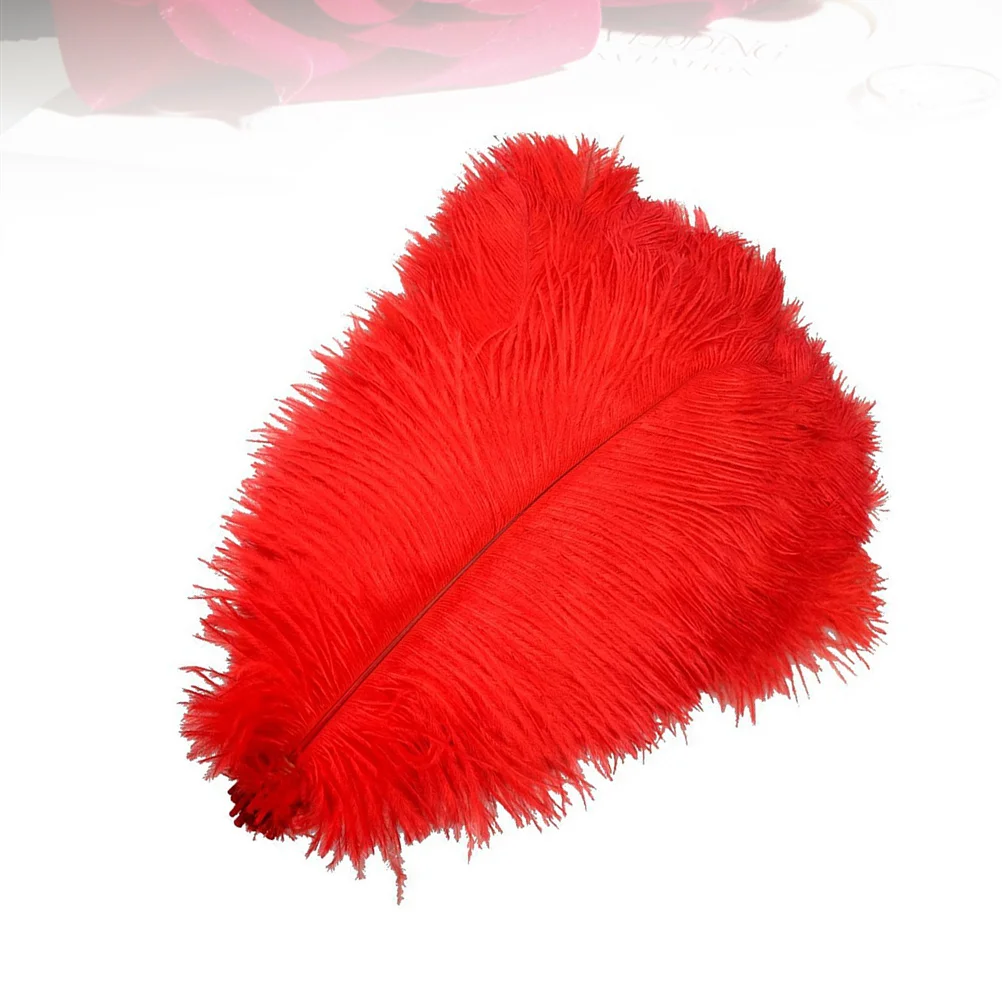 

10 Pcs Mask Ostrich Hair Decoration Cosplay Trim Artificial Feahers Decorations