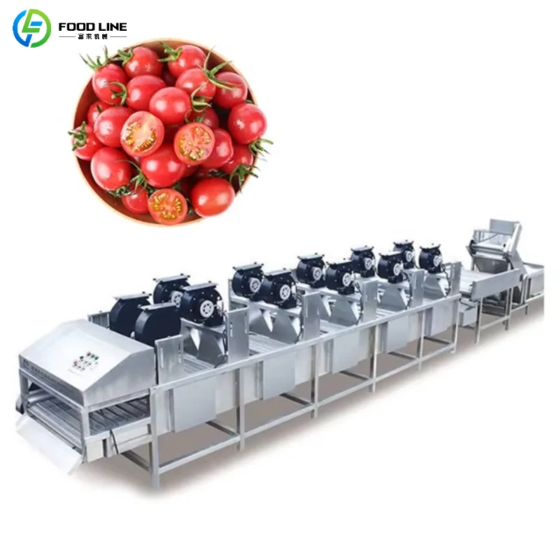 

Customized Commercial Fruit & Vegetable Drying Conveyor Belt Stainless Steel Multi-Fan Air Dryer with Wheels