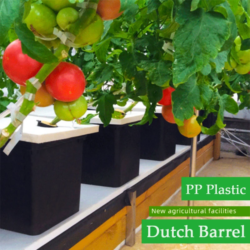 Indoor Planting Dutch Barrel Home Balcony Soilless Cultivation Equipment Greenhouse Vegetables Fruits Hydroponic Growth System