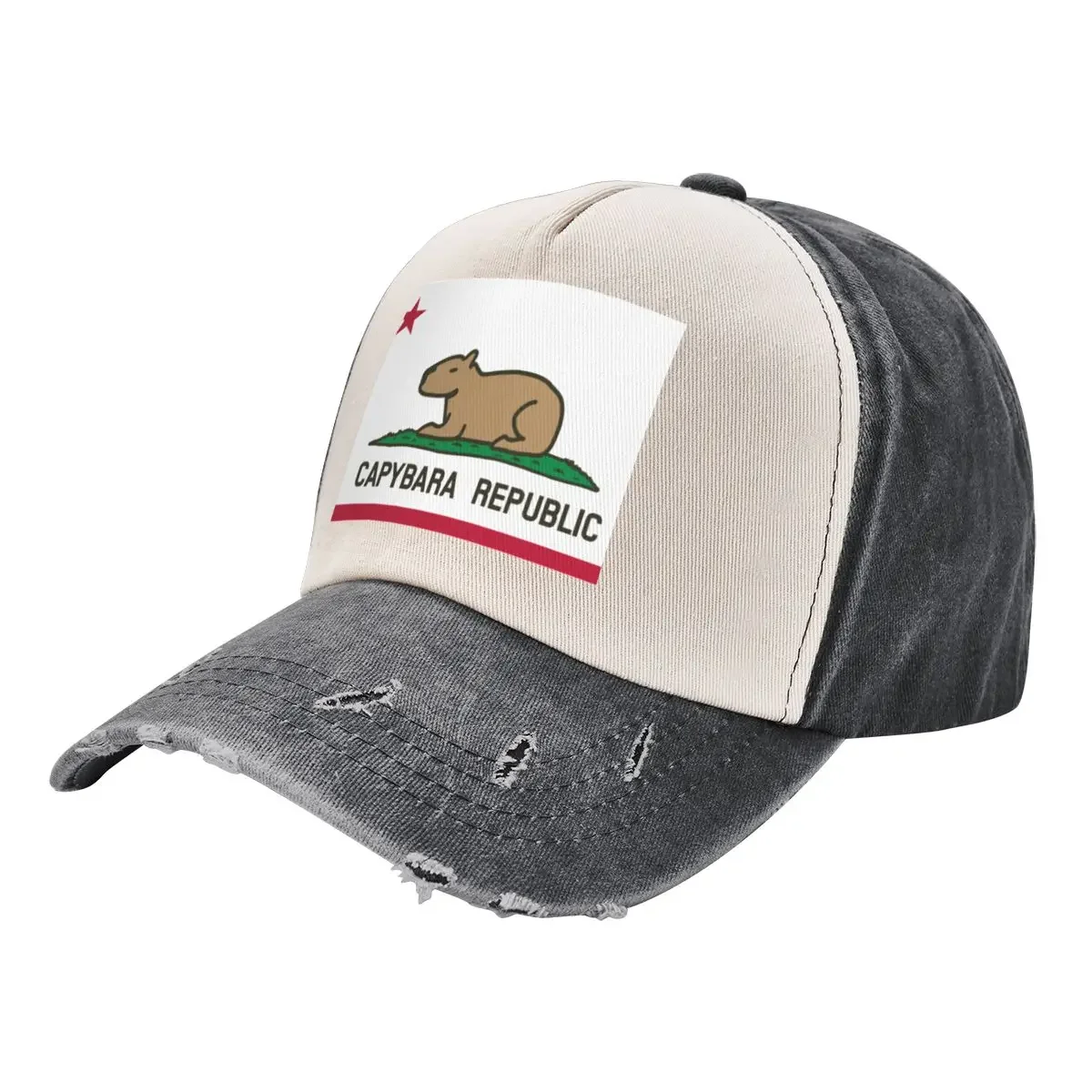 Capybara Flag (relaxed land version) Baseball Cap Wild Ball Hat fashionable Winter hat hard hat Men Golf Wear Women's 2