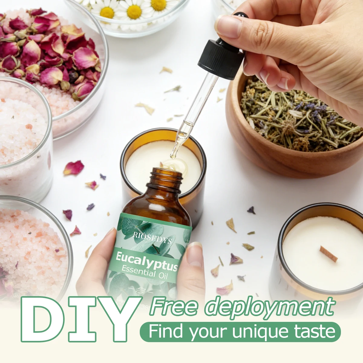Eucalyptus Essential Oil, Fresh Herbal Fragrance Oil for Diffusers, DIY Crafts & Aromatherapy, Cool and Clean Aroma image 5