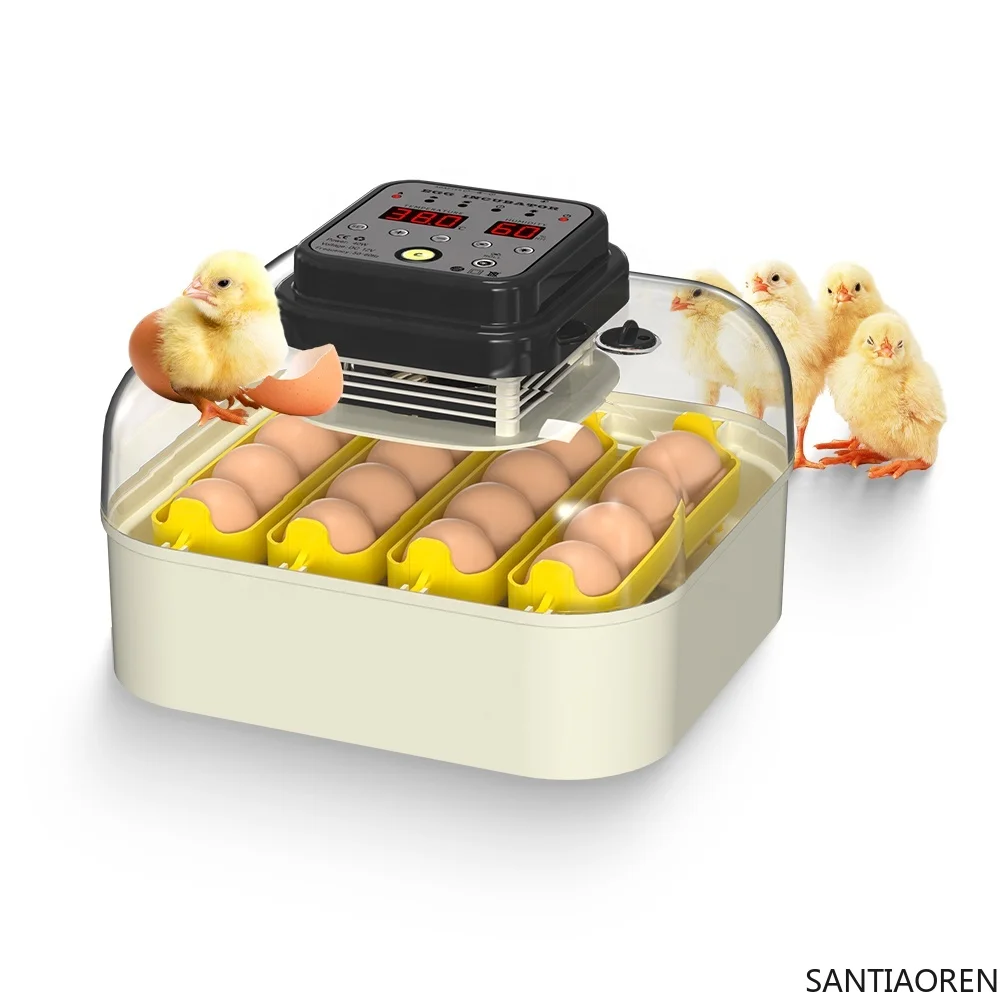 

Mini Automatic Egg Incubator 15 Eggs Incubator Egg Hatching Machine for Sale