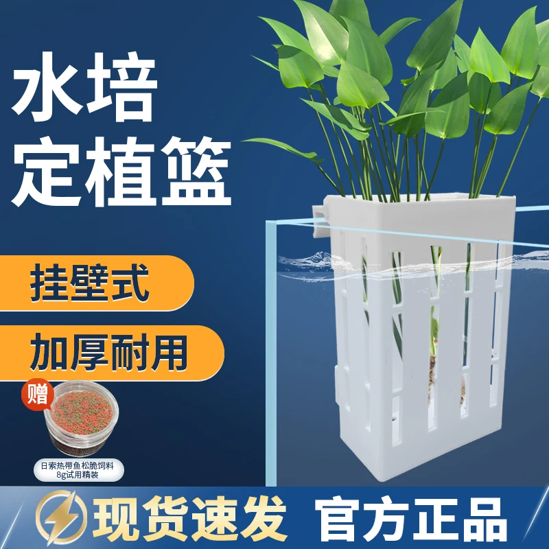 Fish tank hydroponic planting basket wall mounted water grass cup plant fixing bracket landscape decoration accessories