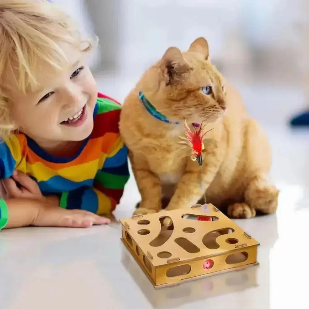 

Funny Multi Hole Cat Maze Toys Unique With 2 Balls Interactive Cat Toy Cat Track Toy Cat Toys