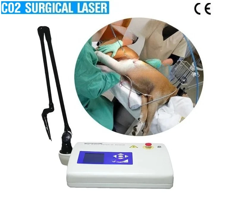 CO2 Surgical Machine CO2  Machine Best Quality CO2 System BS-COL1 for Animal Surgery
