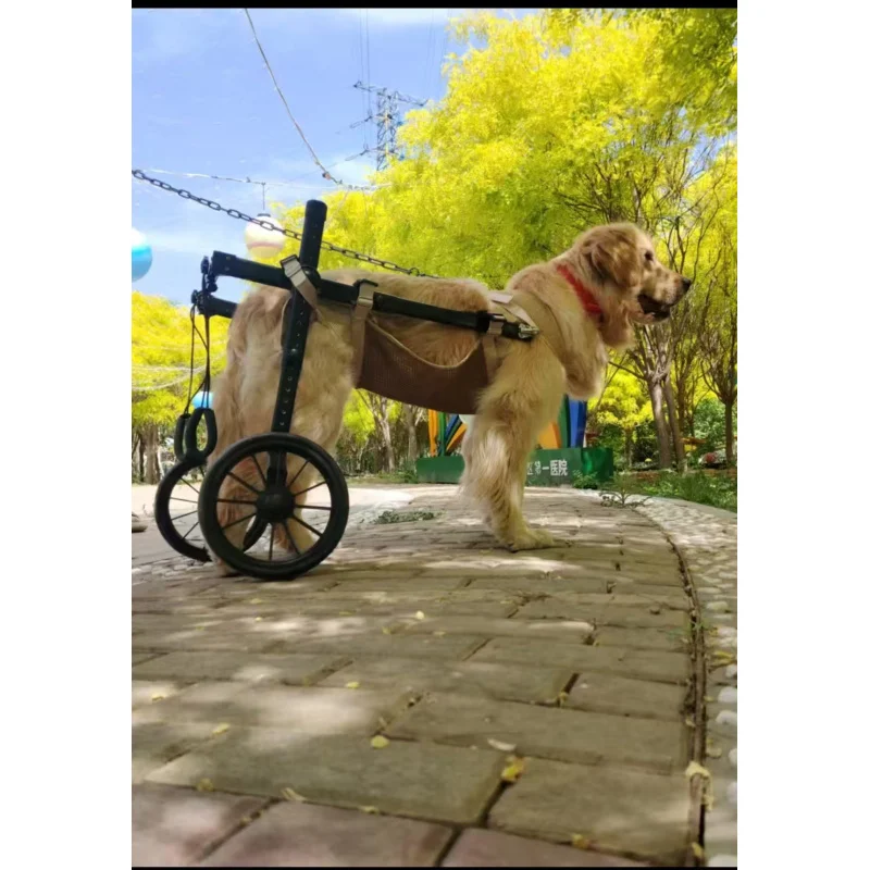 عربة مساعدة للمشي لإعادة تأهيل الكراسي المتحركة، مساعدة الطاقة، سكوتر التنقل للكلاب الأليفة #6