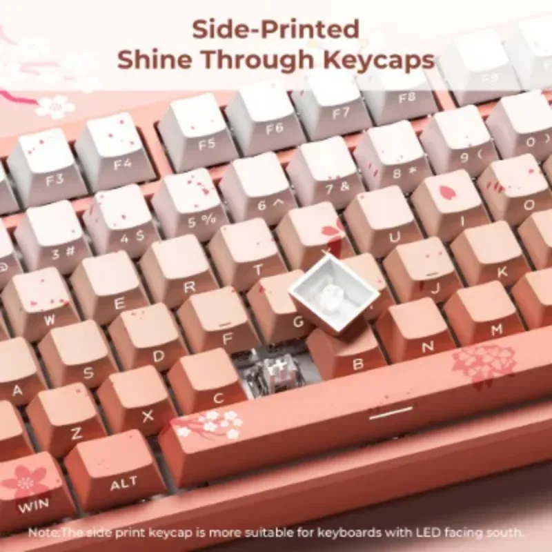 Sakura colorful, pink side engraved light transmission personality sublimation keycap 61 68 75 84 87 104