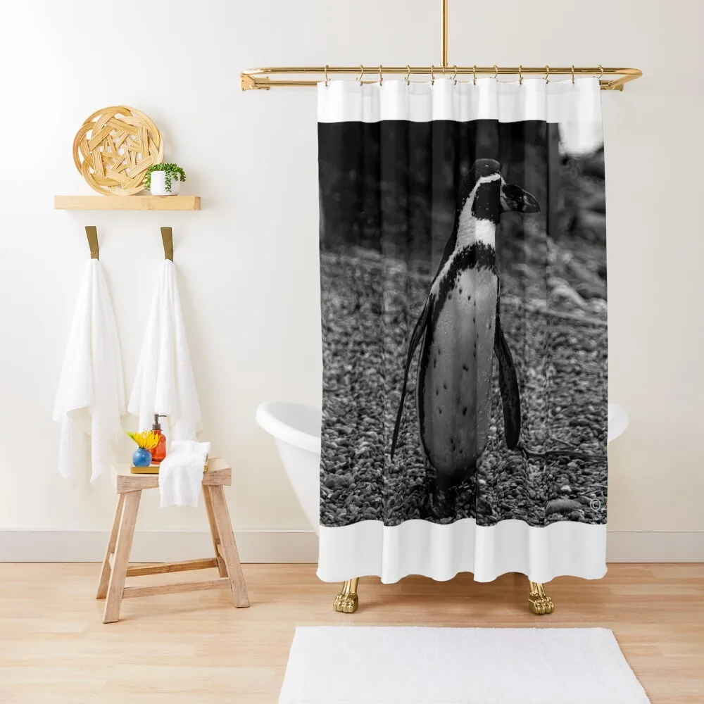 

Humboldt Penguin Shower Curtain Shower Waterproof Waterproof Bathroom Shower Luxury Bathroom Curtain