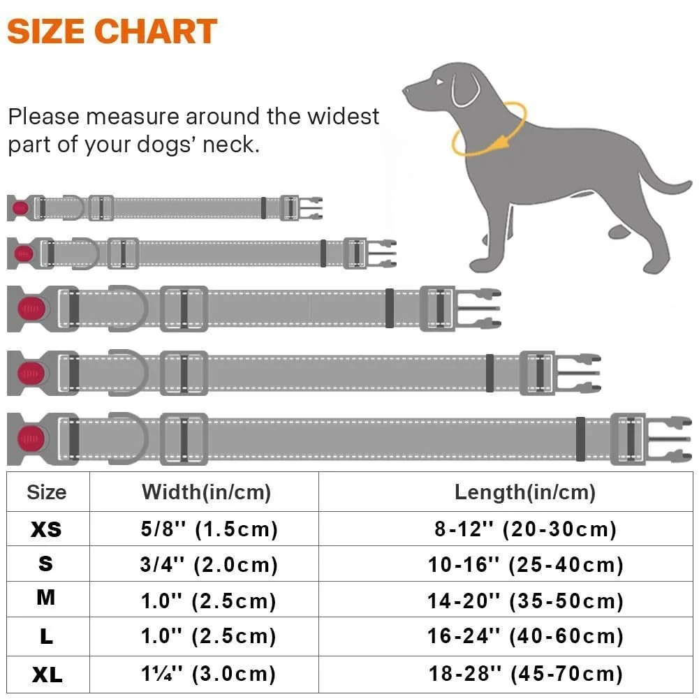 Thumbnail 4 - #17 Compare Reflective Dog Leash Before You Buy