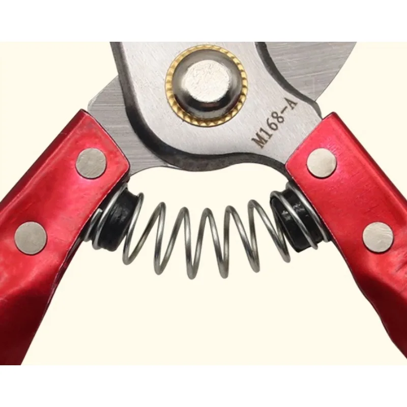 Suitable for Repairing Sheep's Hooves, Sheep's Scissors, Hoof Repair Pliers, and Hoof Repair Knives