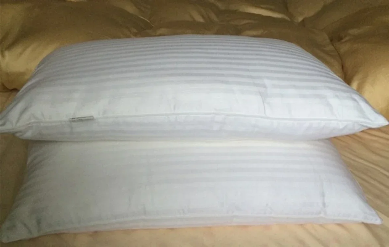 100% Mulberry Silk Filling Pillow Eco-Friendly Pure Silk  74 X 48 cm 750 G to 1750 G Optimal Filament Silk Customize