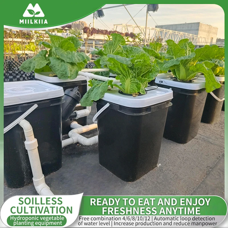 Hydroponisches RDWC-System für den Heimbalkon, holländisches Eimer-Anbauset, bodenfreie Pflanzausrüstung