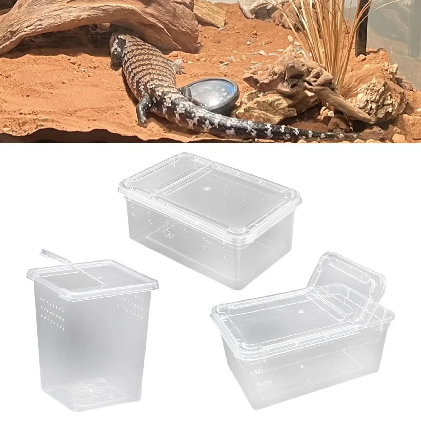 Reptile Feeding Box with Vent Holes Terrarium for Frog Tarantula Lizards
