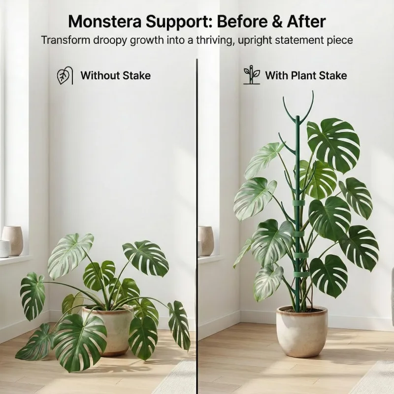 Estacas de Suporte para Plantas Monstera, 5 Estruturas de Suporte e 1 Rolo de Velcro, Estacas de Jardim Projetadas Especificamente para Caules de Plantas Trepadeiras
