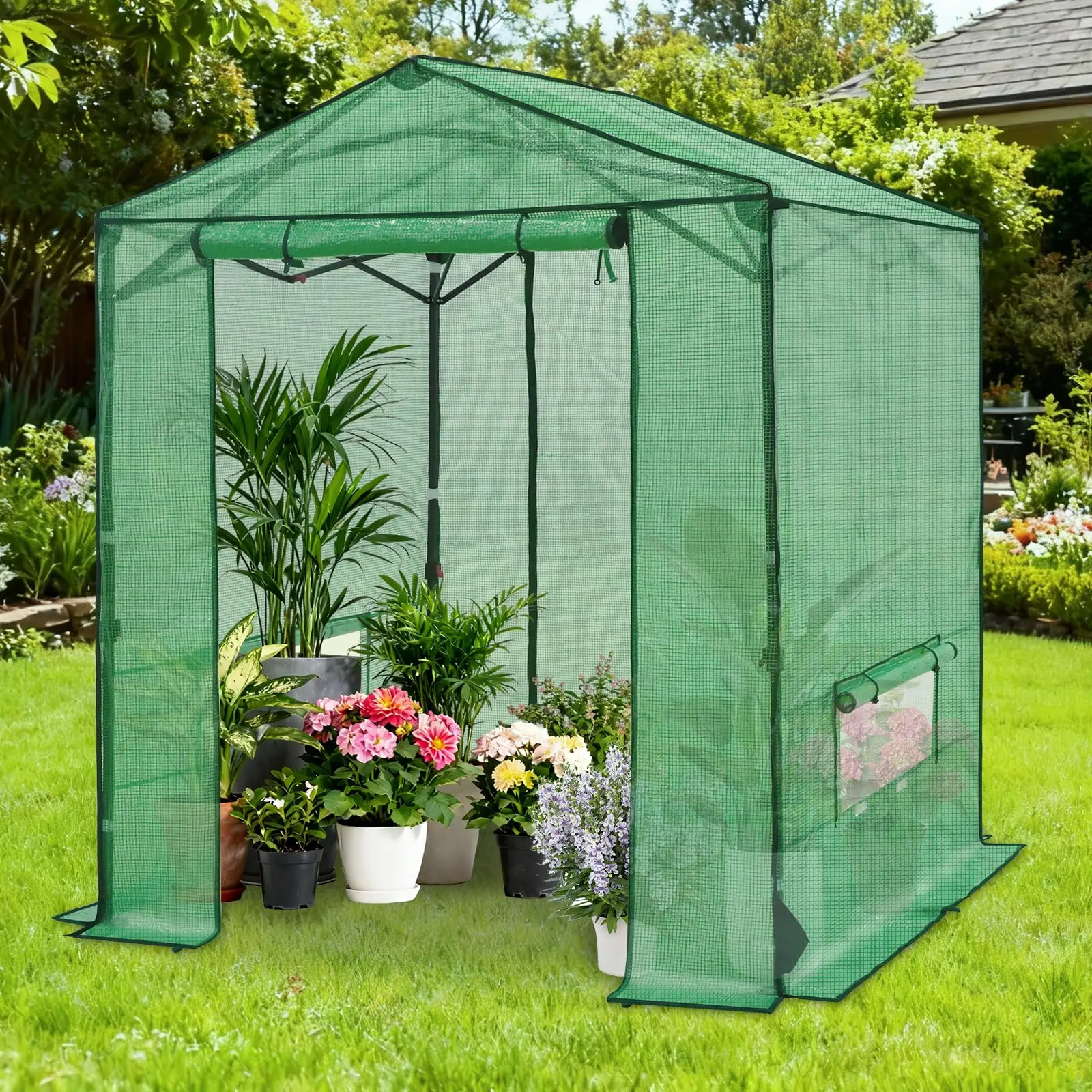6x6 Pop Up Greenhouse Outdoor, Walk in Garden Greenhouse with Power Access Openings, Zippered Doors & Windows, PE