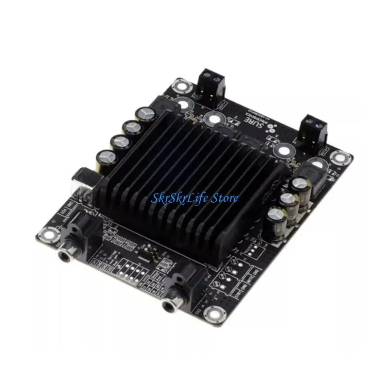 

E65E High Efficiency 2x25W Stereo Sound Amplifiers Module Board for Airport Card Readers and AV Devices