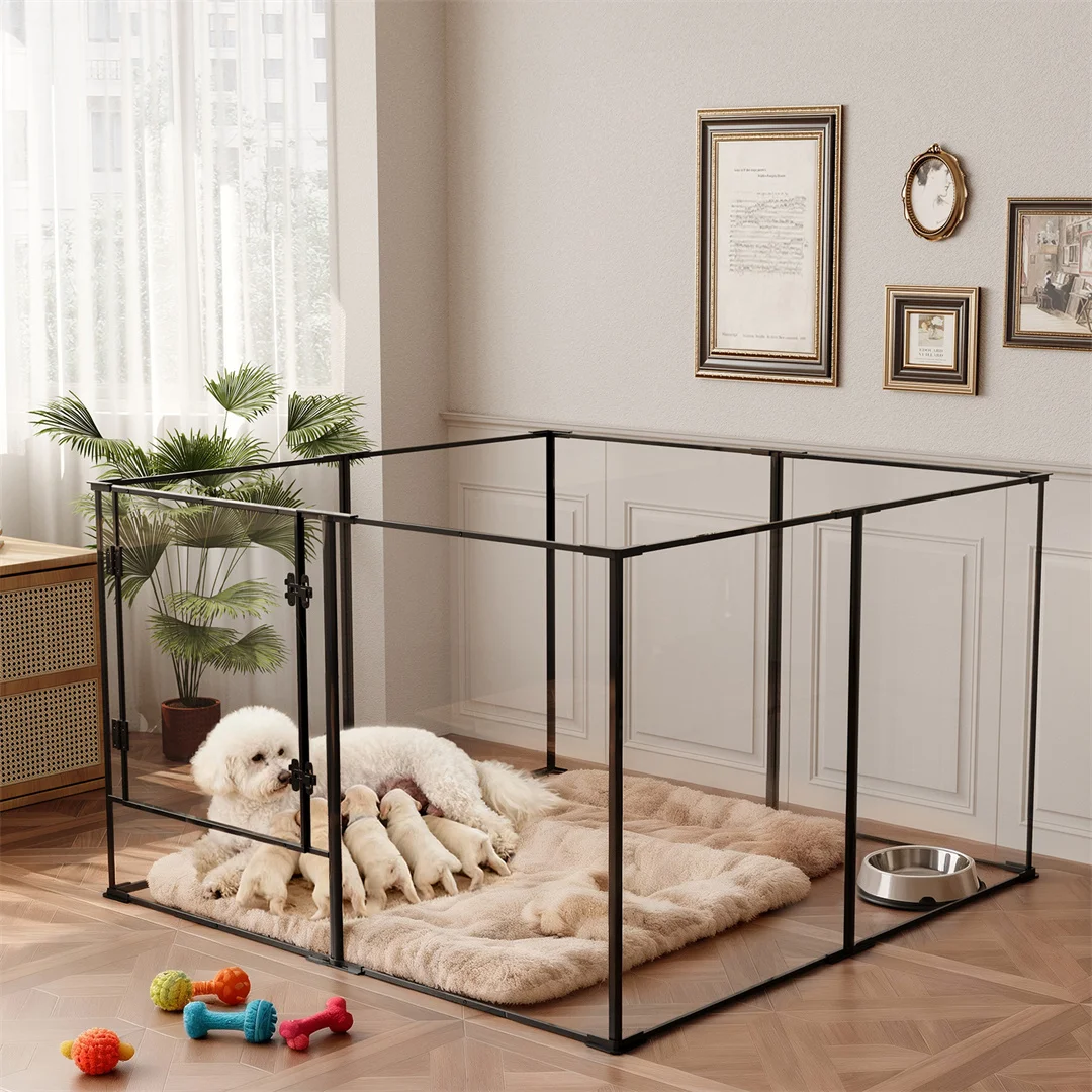 #8 Dog Crates Comparison Guide