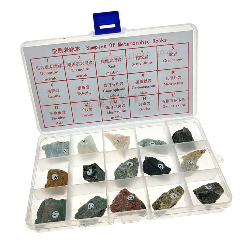 Educational Educational Supplies for Metamorphic Rock with Box of And Up