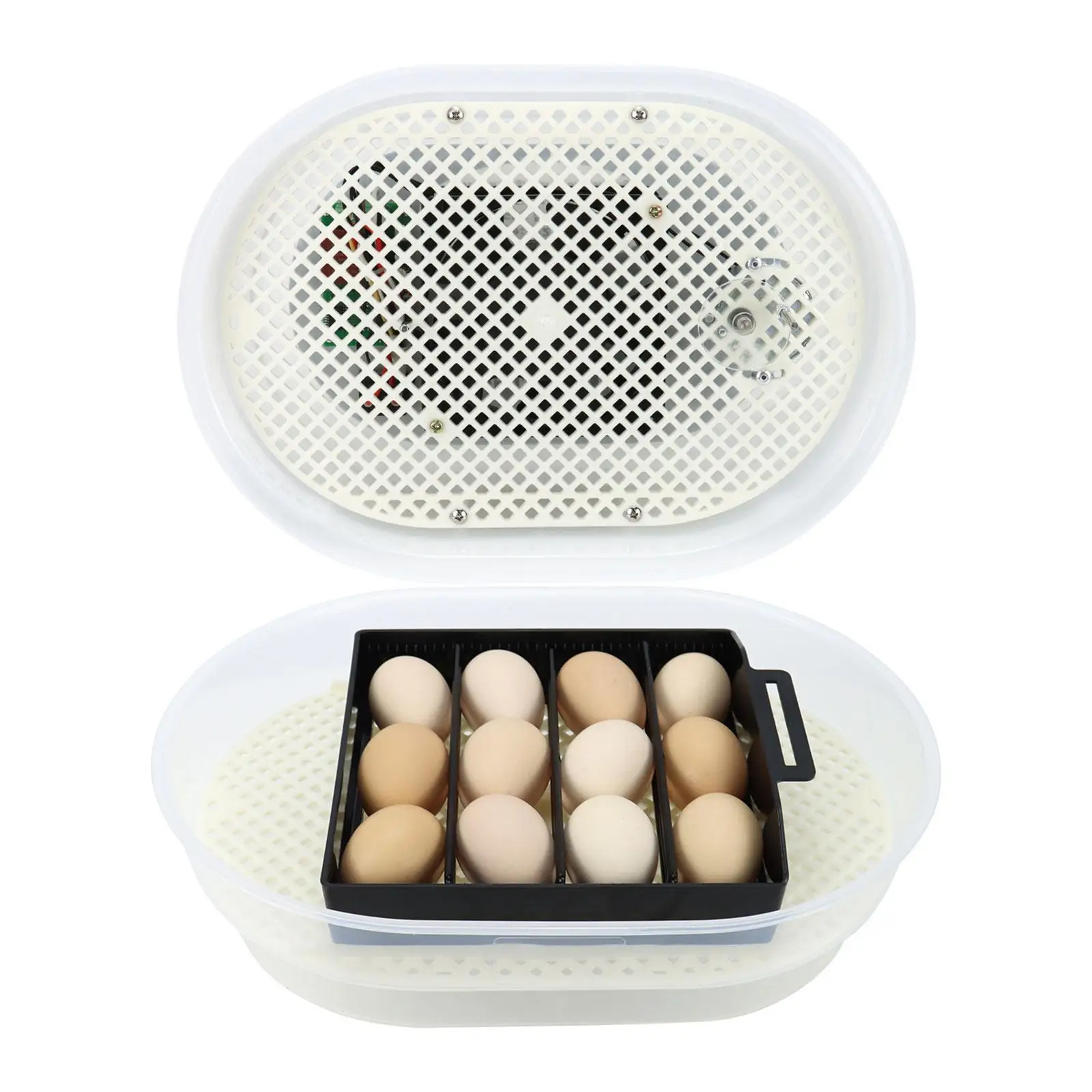 

Egg Incubator for Hatching Chicks Egg Candler Tester Household Automatic Egg Turning Incubator for Goose Quail Bird Duck Eggs