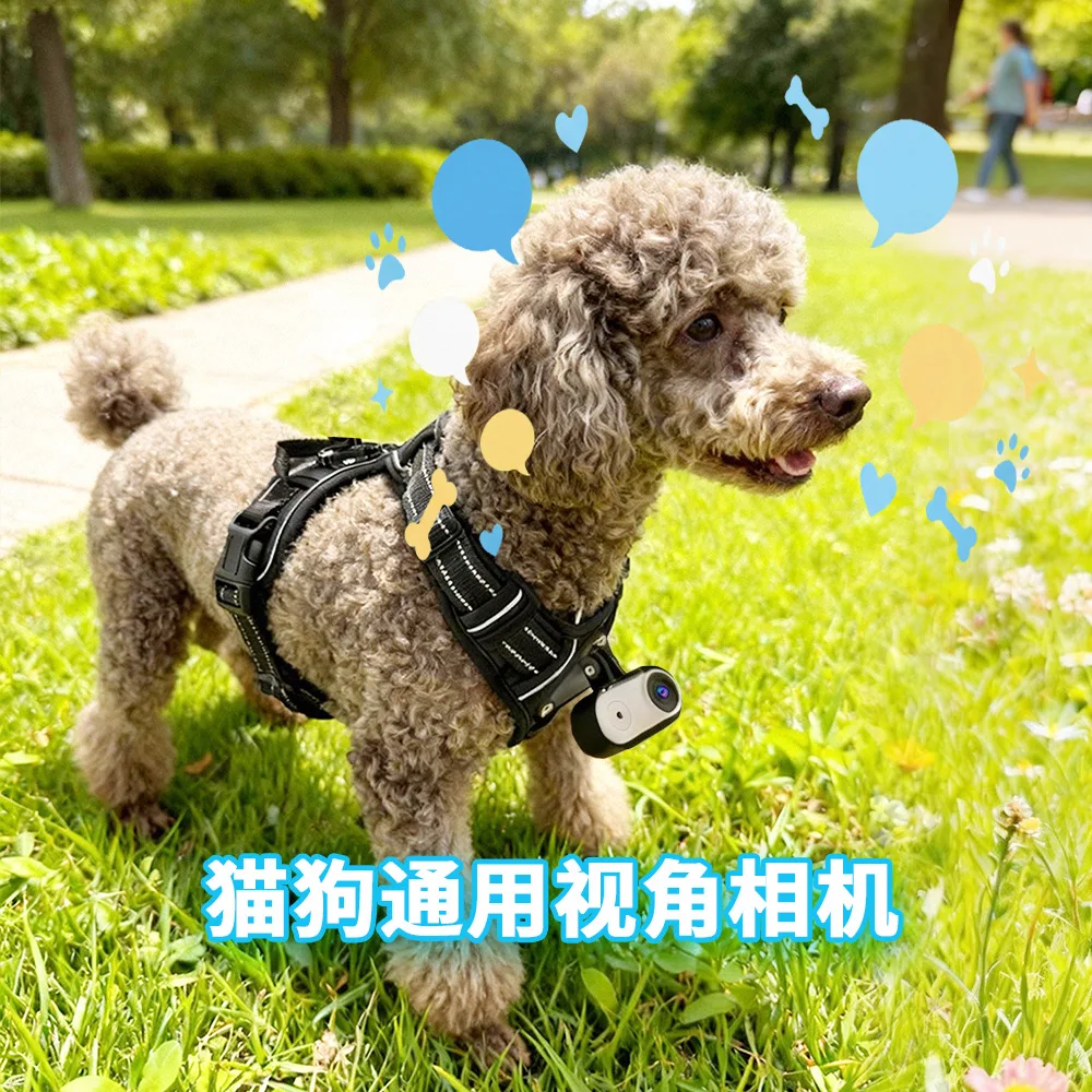 [2026 New Product] Pet cat and dog first view 2k anti-shake neck WIFI camera camera strap