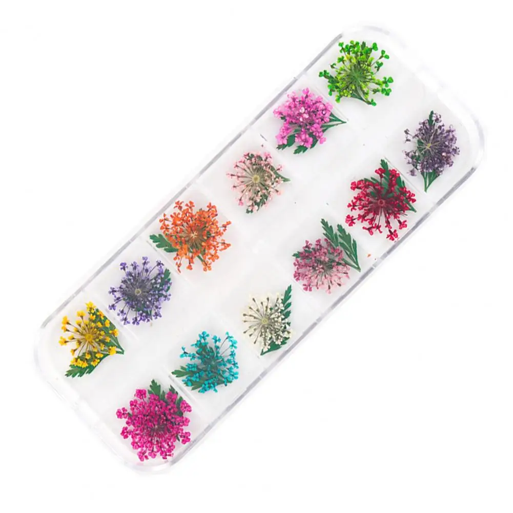 Dry Flower Manicure Deco Vibrant Floral Nail Art Supplies 12 Colors of Natural Dried Flower Charms for Manicure Uv Gel Polish