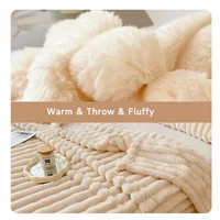 1pc Throw Blanket for Bed - 250GSM Soft & Warm Fluffy Blanket, Decorative Striped Blankets for Winter  Nap / Sleep 2