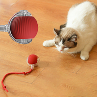 Interactive Cat Toy Ball Super Drive Cat Rolling Balls with Bird Chirping Motion Activated Sensor Pet Kitten Teaser Game Toys