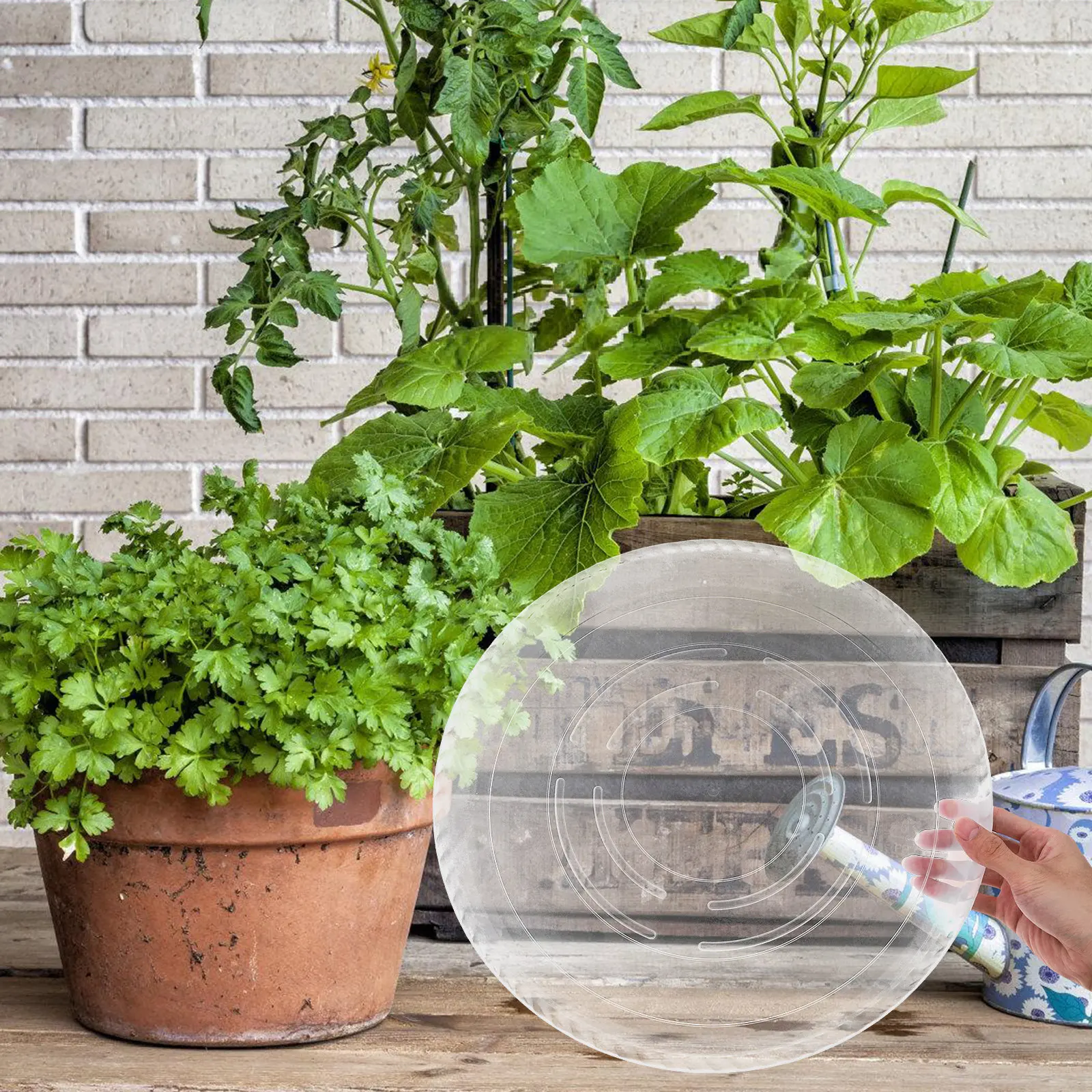 

4Pcs 16-Inch Clear Plastic Flower Pot Saucer Round Plants Tray Drainage Base for Indoor Outdoor Gardening Succulent Bonsai Water