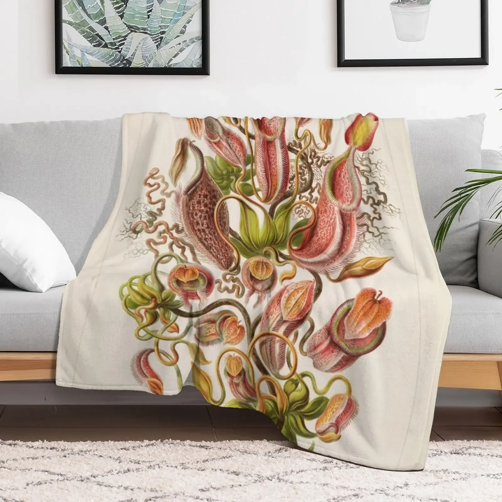 Pitcher plants Ernst Haeckel scientific illustration 1900-1910 Throw Blanket Luxury Designer Luxury Thicken Heavy Blankets