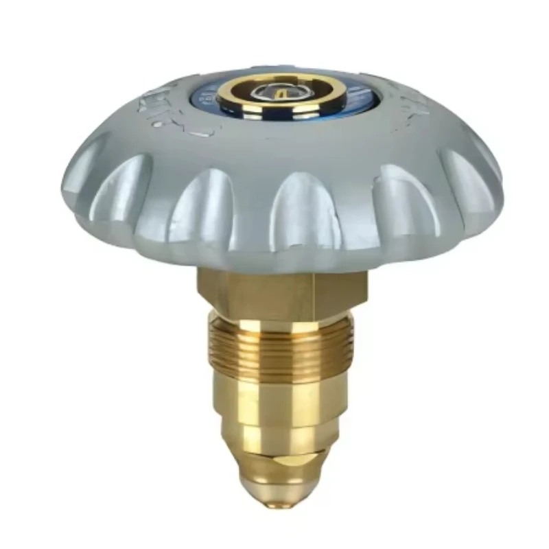 

Accessories Safety Valve Pressure Pressure Exhaust Valve Metal Metallurgy Machinery Parts Medium Valve Repair Kit