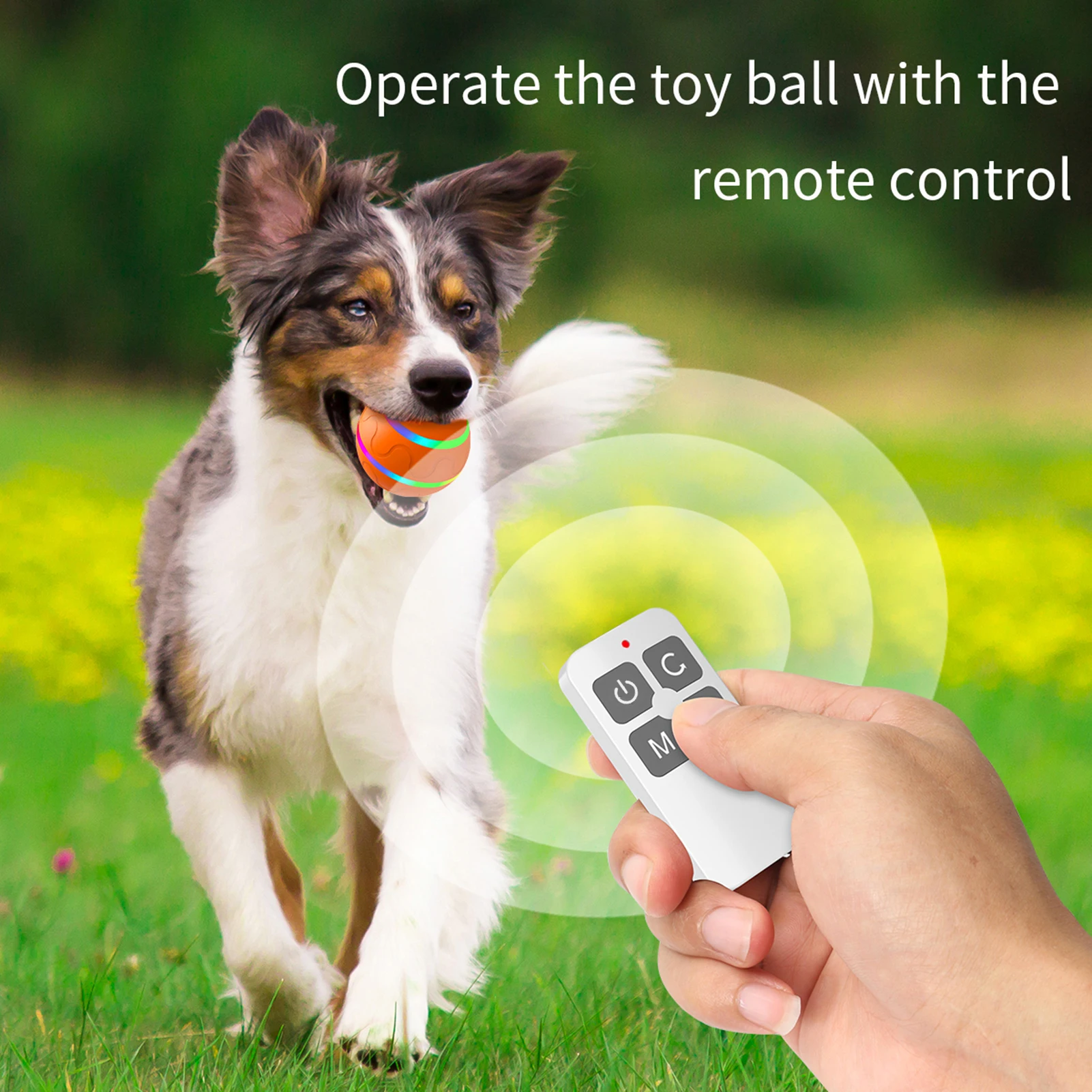 Dog Ball Toy Interactive Puppy Cat Pet Rolling Toy Remote Control Self Rotating Bouncing Ball LED Light Rechargeable BatteryGift