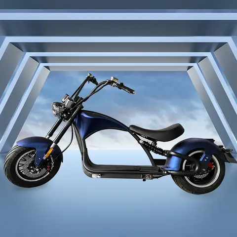 12-tums 2000W 2-hjuls självbalanserande skoter motorcykel elektrisk skoter med CE EEC 6 best sales motorcykel elektrisk skoter - №1