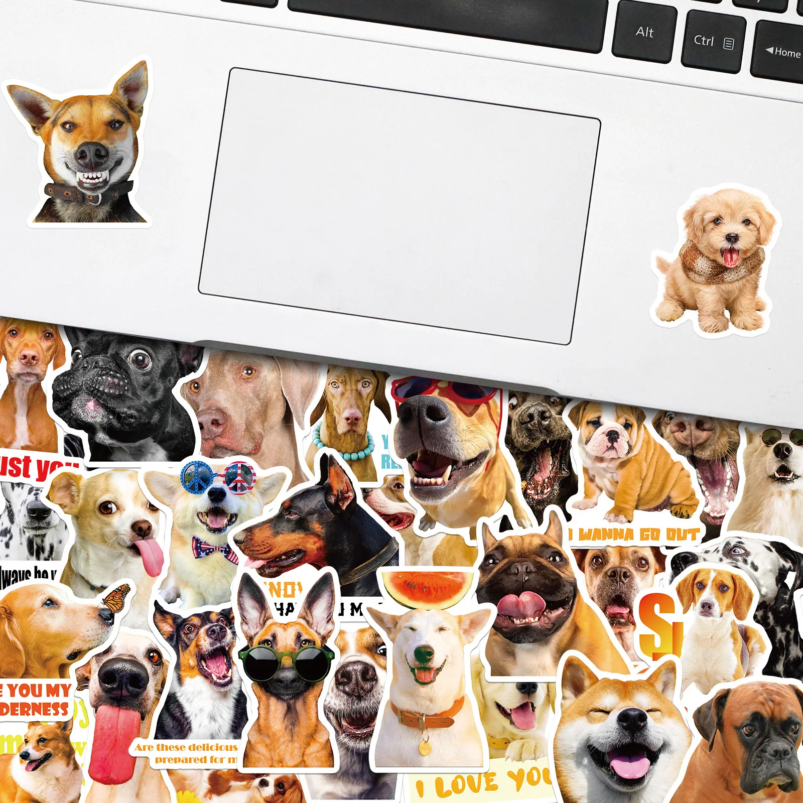 Stiker anjing binatang realistis, 50/100 buah stiker ekspresi wajah anjing lucu notebook, koper stiker tahan air