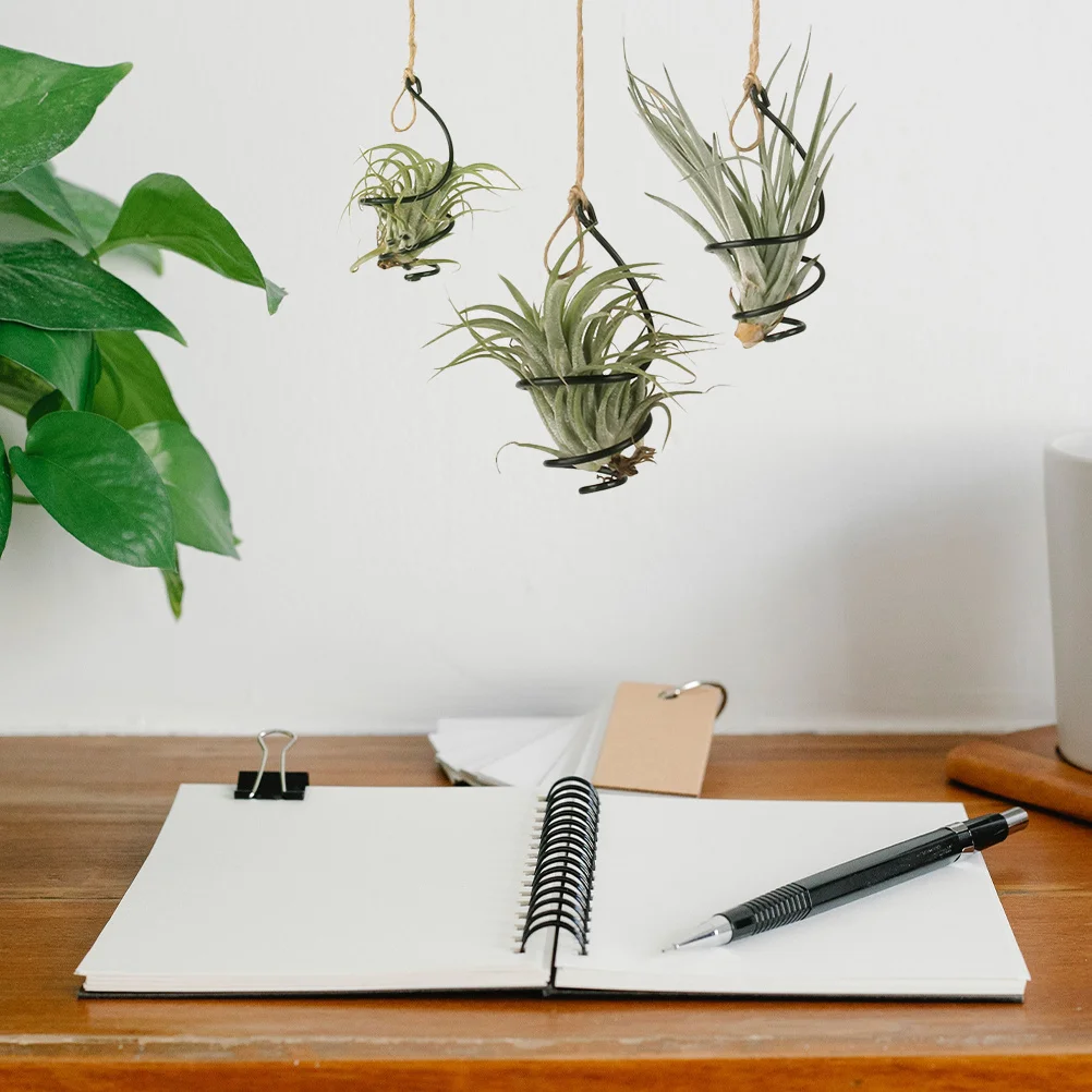 

Air Plant Holder Spiral Design Indoor Hanging Wall Planter Modern Geometric Air Stand Ornament Display