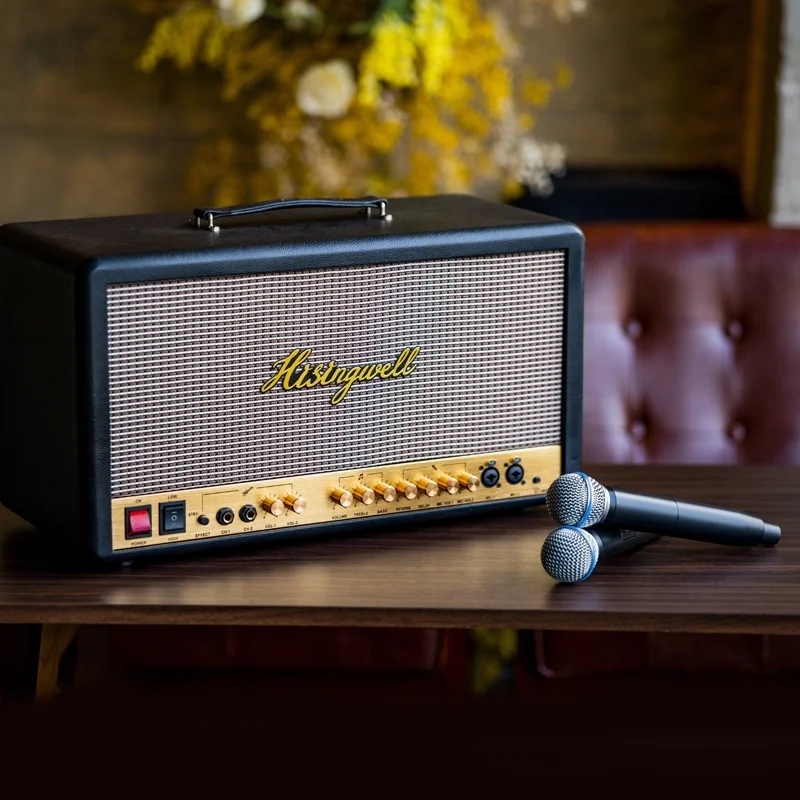 

Voxfull MS06 GUITAR SPEAKER C INET GUITAR COMBO AMPLIFIER WITH WIRELESS MICROPHONE and STAND