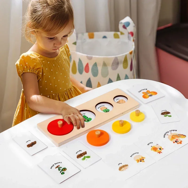 Montessori Educational Children Toy Wooden Sorting Matching Board Growth Process Cognize Preschool Learning Puzzle Game for Kids