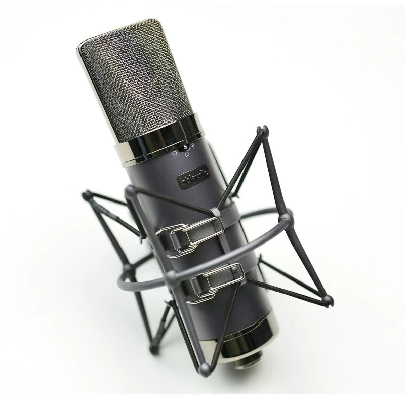 T2 Dual Tone Dual Diaphragm Professional Recording Studio Karaoke Live Condenser Microphone