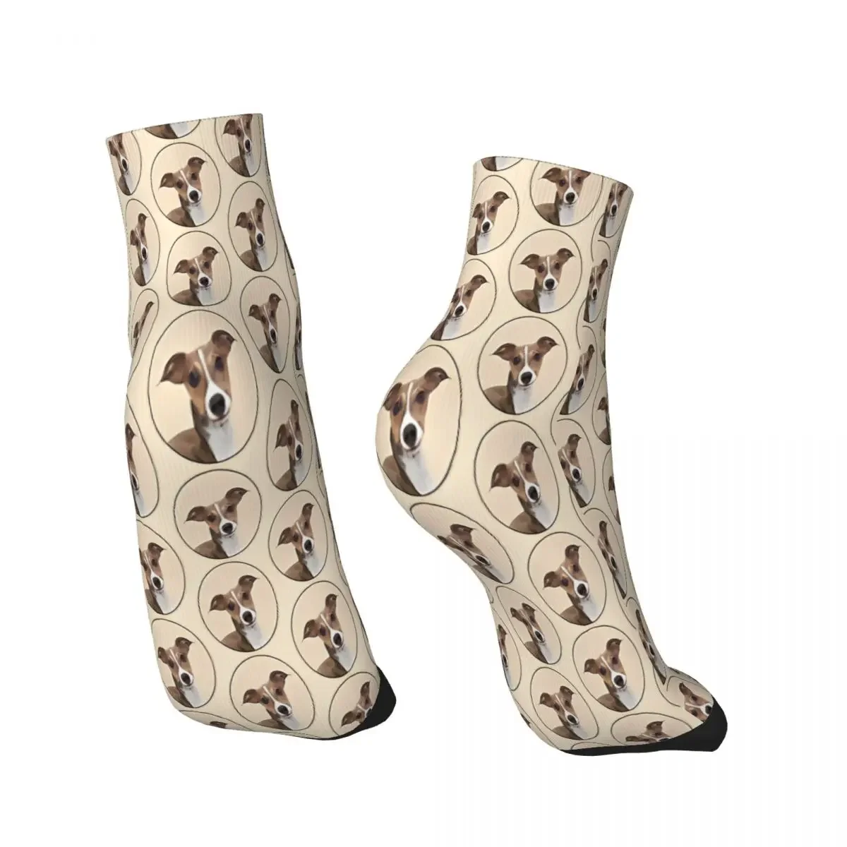 Cute Geryhound Greyhounds Dog Ankle Socks Male Mens Women Spring Stockings Printed