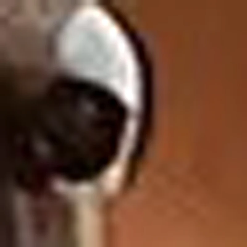 

Инструмент для удаления ушной серы: пинцет-экскаватор, эндоскоп, микропинцет-крокодил, ветеринарные щипцы, отоскоп A1