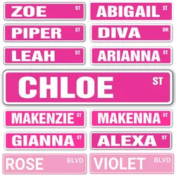 Retro Metal Tin Signs Instagram Style Clole Rose Zoe Street Signs Amusement Park Scenic Retro Road Sign Country Retro Decorative