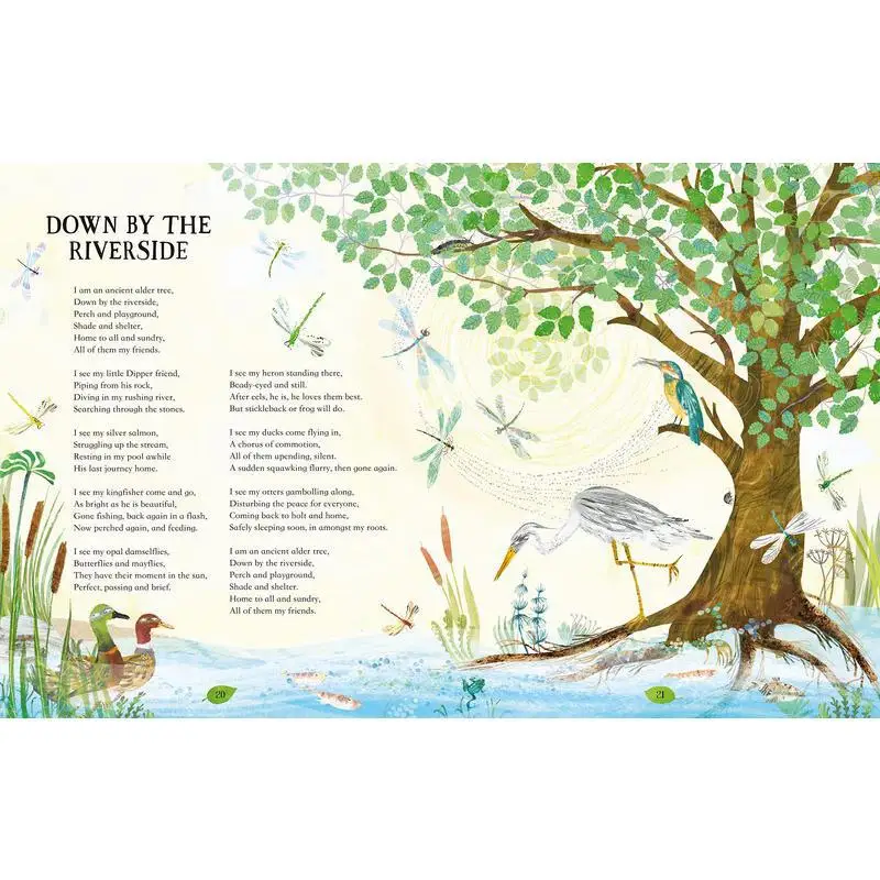 Yuval ZommerMy Heart Was A Tree Michael Morpurgo Two Hoots 9781529094794 Book